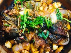 啫啫小甲鱼-金龙·打边炉(武进路店)