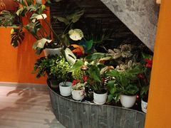 -泰古龙抓龙筋·spa按摩(静安店)