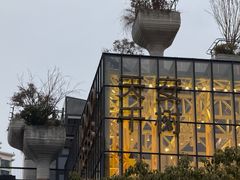 -柴门·头啖汤(天安千树店)