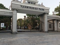 -燕鸣岛