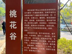 -南国桃园旅游度假区