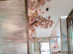 -野妹火锅(龙岗店)