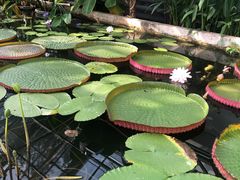 -国家植物园南园