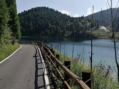 -武陵山森林公园