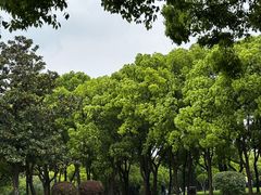 -蠡湖大桥公园