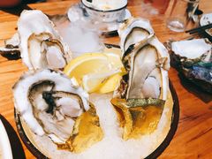 -陈记高压锅鱼头·生蚝