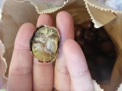-陈记栗子(长宁路店)