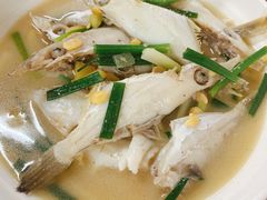 -蛇口康乐快餐鱼仔档(翠苑小区店)