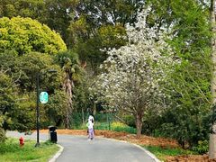 -宝岩生态观光园