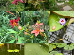 -国家植物园南园