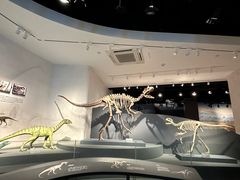 -自贡恐龙博物馆