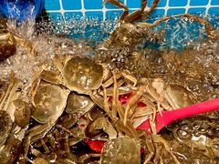 -焰江山海鲜牛排烤肉自助(锦华万达二星店)