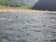 -九曲溪竹筏码头