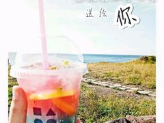 -Cafe Aewol Monsant