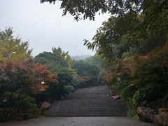 -茶颜悦色(岳麓山顶店)