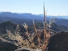 -蟠龙山长城景区