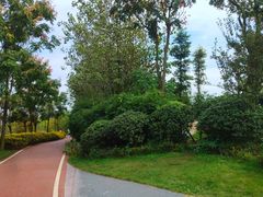 -白鹭湾湿地公园