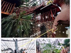 -呀路古热带植物园