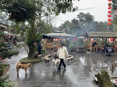 -青城甲(青城山店)