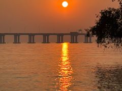 -宝安西湾红树林湿地公园