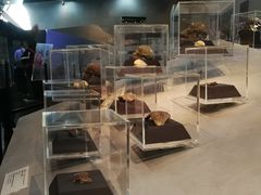 -北京周口店北京人遗址博物馆