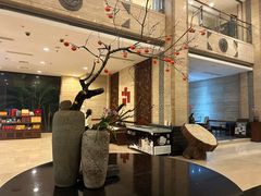 -九华山聚龙大酒店