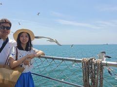 -海驴岛(荣成市)