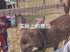 -黄陂区野村谷景区