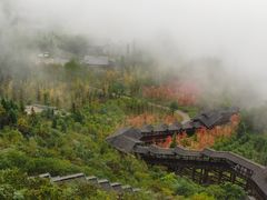 -张关合渣(航空大道店)