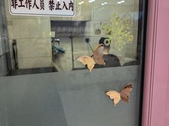 -全心全意连锁动物医院·微创中心·内科急重症·心脏专科(丰管路店)
