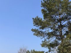 -窦圌山风景区
