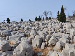 -原山国家森林公园