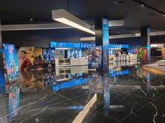 -奥斯卡升龙国际影城(RealD Cinema)