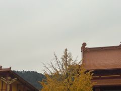 -南岳大庙