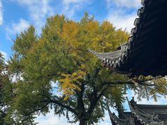 -豫园