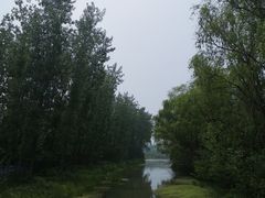 -昆山城市生态森林公园