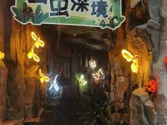 -正佳雨林生态植物园