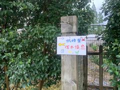 -前小桔亲子创意农场·草莓采摘·露营烧烤