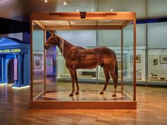 -墨尔本博物馆(Melbourne Museum)