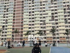 -彩虹村
