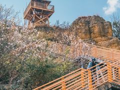 -彩色沙林风景区