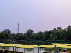 -仁和公园(顺义区)