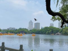 -月湖公园