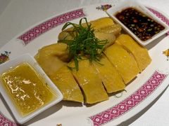-炆艺乳鸽·煲仔饭大排档(望京来广营店)