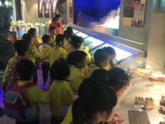 -中国地质大学逸夫博物馆