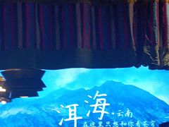 -老牌坊云南鱼豆花火锅(哈西万达店)