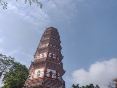 -中山公园(石岐街道)