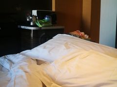 -北京园博大酒店