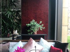 -常州环球恐龙城维景国际大酒店