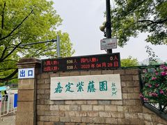-嘉定紫藤园